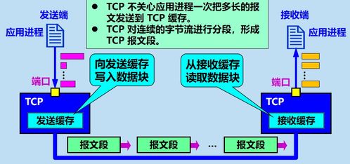 TCP 網絡通信的可靠基石
